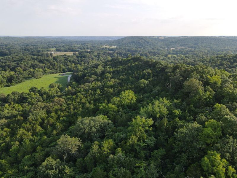 57 +/- Acres Conley Road, Morning View, KY 41063 Photo 11