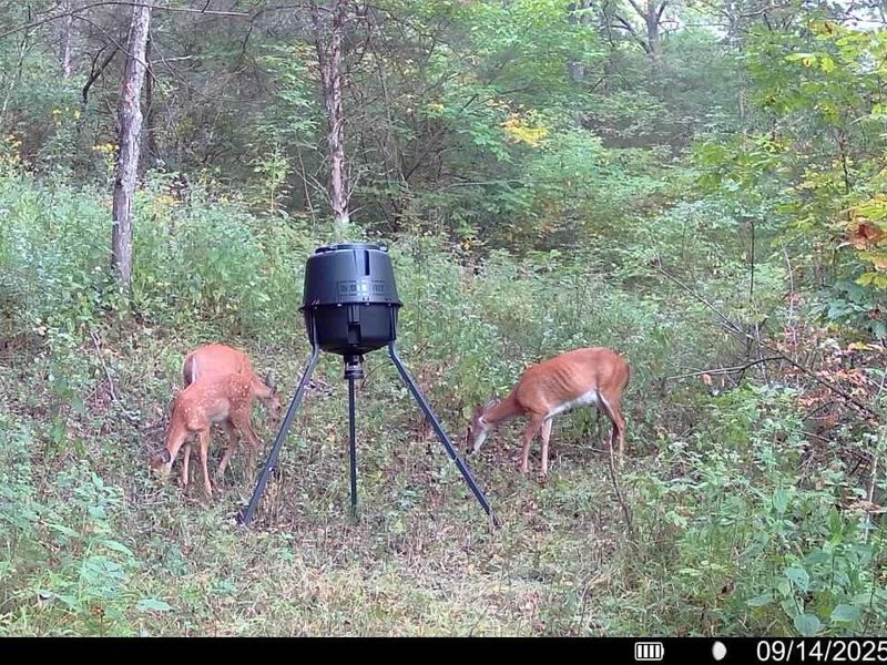 57 +/- Acres Conley Road, Morning View, KY 41063 Photo 13