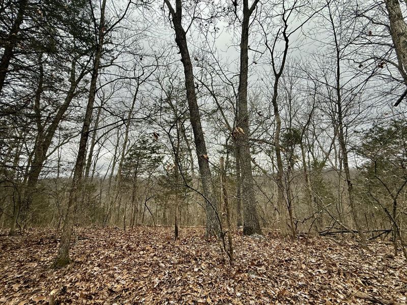 57 +/- Acres Conley Road, Morning View, KY 41063 Photo 16