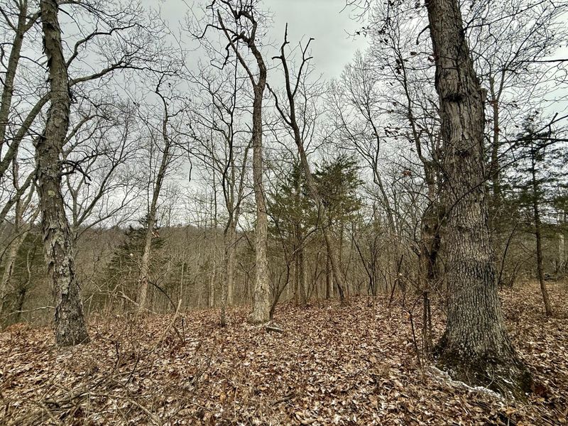 57 +/- Acres Conley Road, Morning View, KY 41063 Photo 20