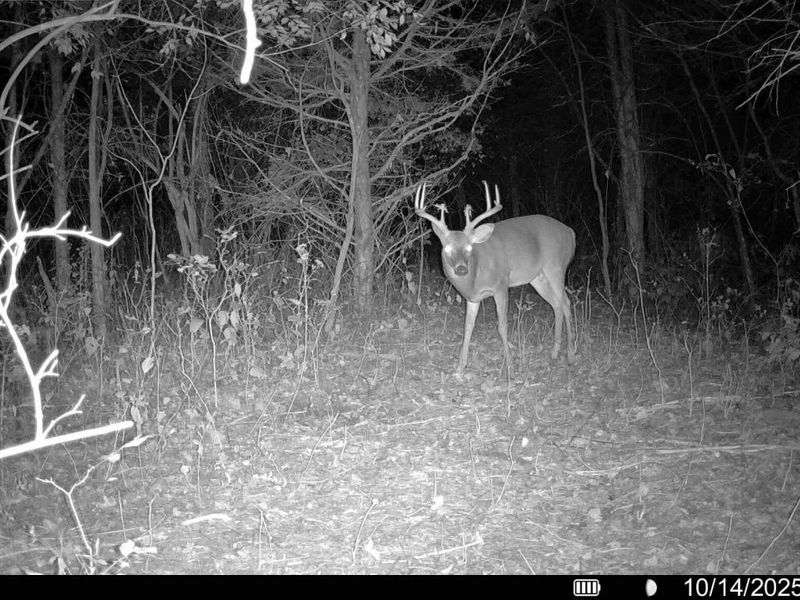 57 +/- Acres Conley Road, Morning View, KY 41063 Photo 21