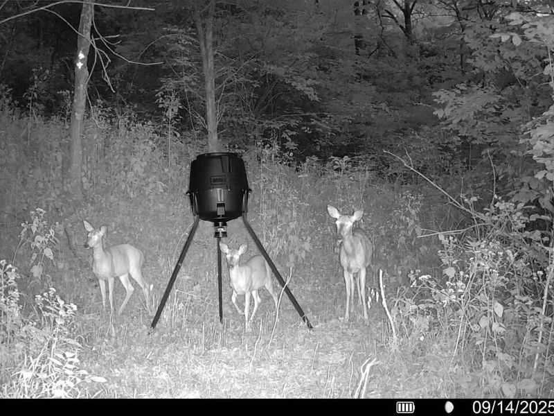 57 +/- Acres Conley Road, Morning View, KY 41063 Photo 22