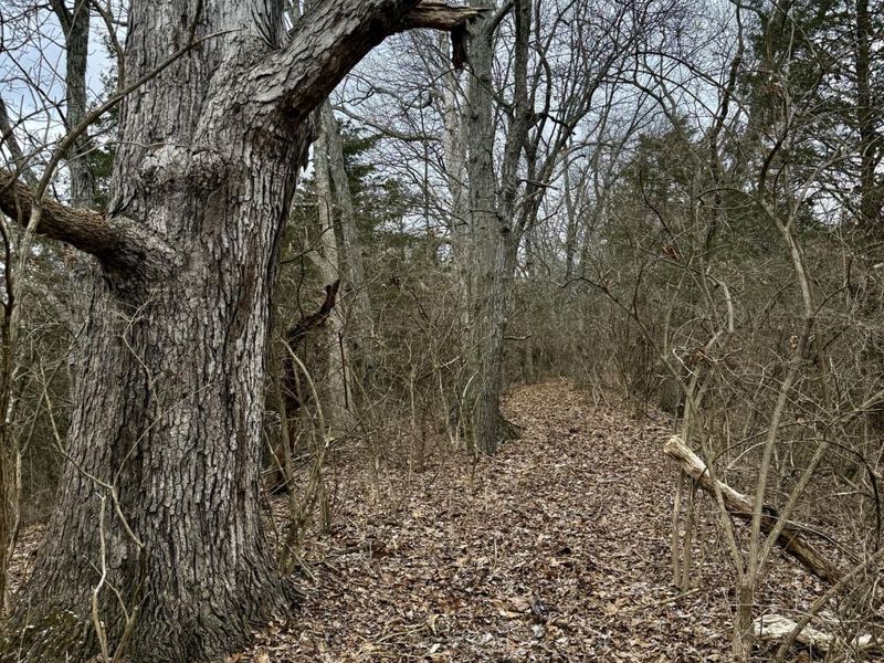 57 +/- Acres Conley Road, Morning View, KY 41063 Photo 23