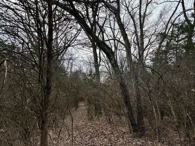 57 +/- Acres Conley Road, Morning View, KY 41063 Photo 25