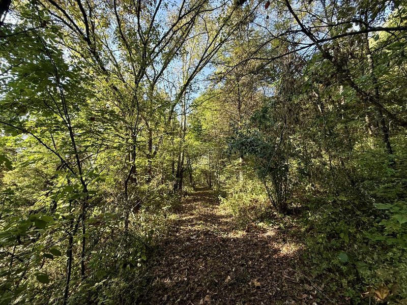 57 +/- Acres Conley Road, Morning View, KY 41063 Photo 27