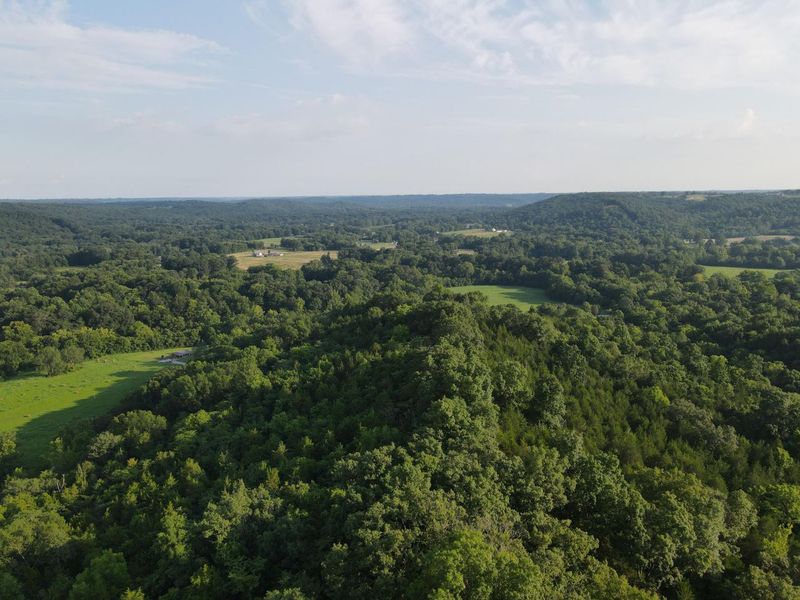 57 +/- Acres Conley Road, Morning View, KY 41063 Photo 28