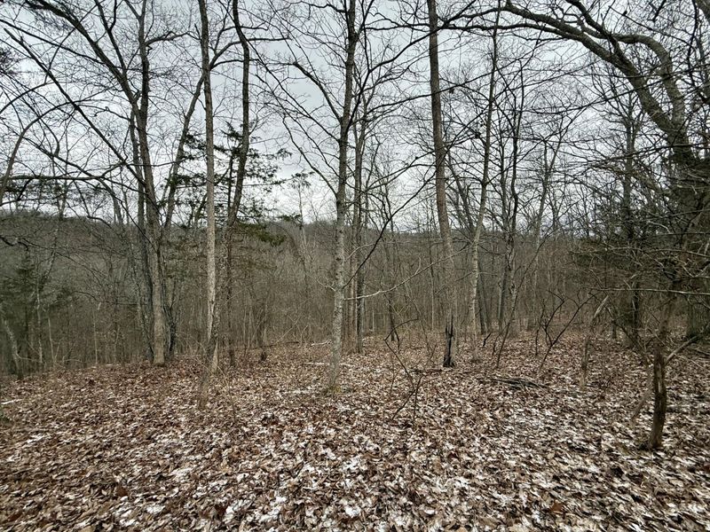 57 +/- Acres Conley Road, Morning View, KY 41063 Photo 30