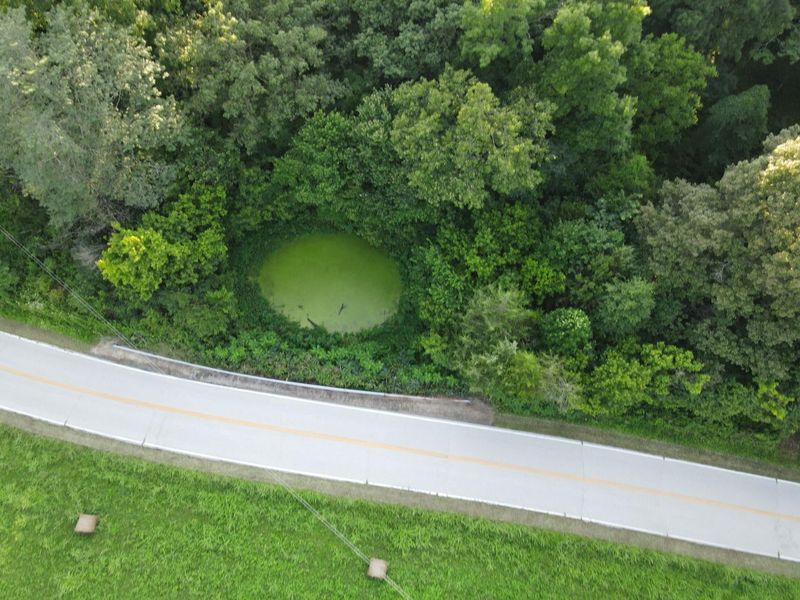 57 +/- Acres Conley Road, Morning View, KY 41063 Photo 31