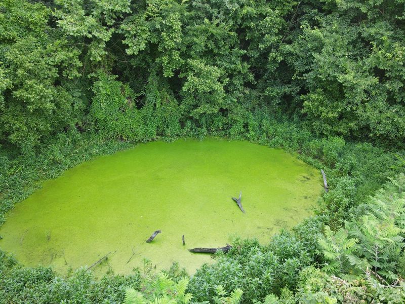 57 +/- Acres Conley Road, Morning View, KY 41063 Photo 32