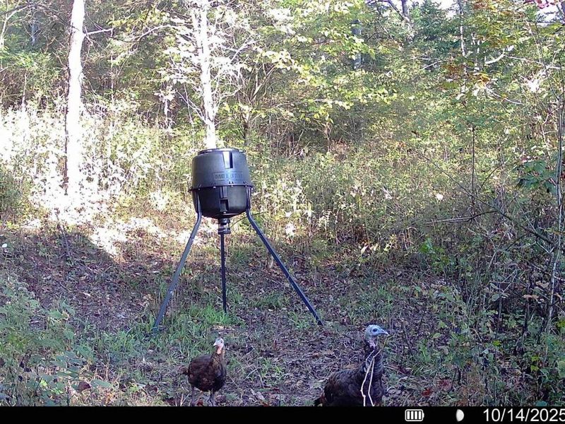 57 +/- Acres Conley Road, Morning View, KY 41063 Photo 33