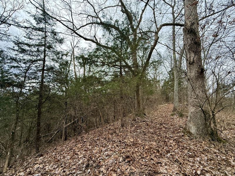 57 +/- Acres Conley Road, Morning View, KY 41063 Photo 35