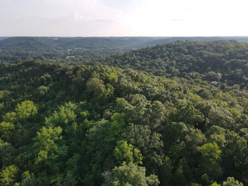 57 +/- Acres Conley Road, Morning View, KY 41063 Photo 36