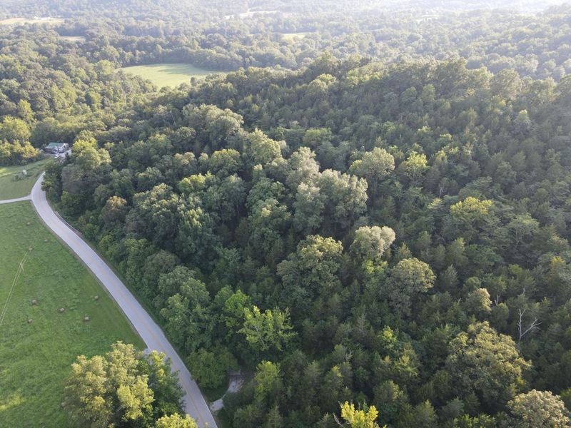 57 +/- Acres Conley Road, Morning View, KY 41063 Photo 37