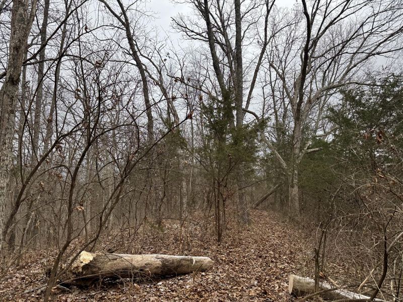 57 +/- Acres Conley Road, Morning View, KY 41063 Photo 40