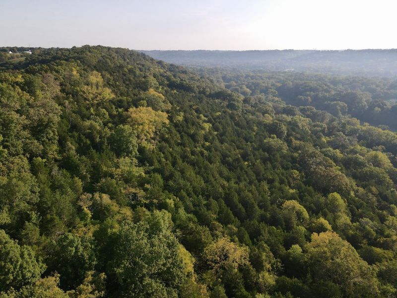 57 +/- Acres Conley Road, Morning View, KY 41063 Photo 41