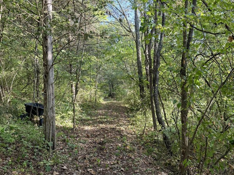 57 +/- Acres Conley Road, Morning View, KY 41063 Photo 42