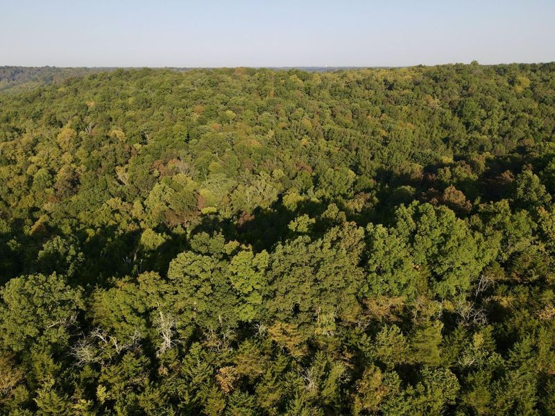 57 +/- Acres Conley Road, Morning View, KY 41063 Photo 44