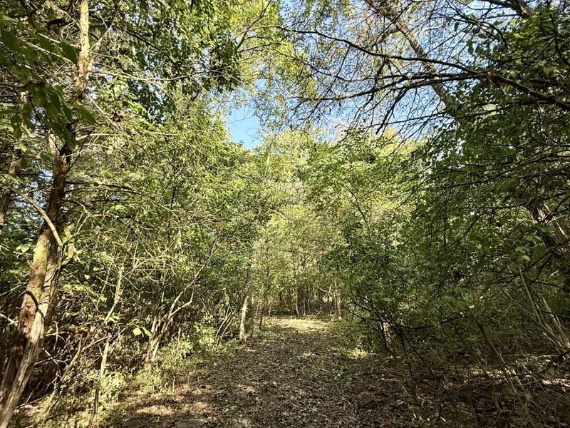 57 +/- Acres Conley Road, Morning View, KY 41063 Photo 45