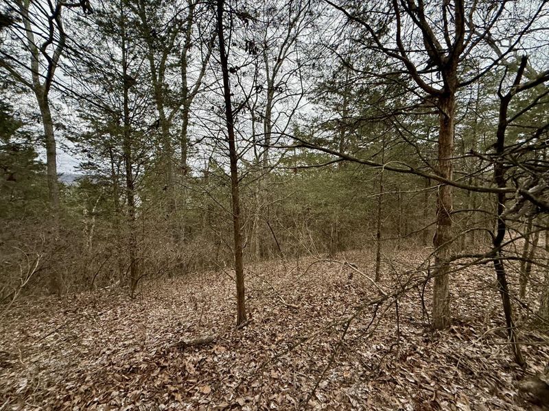 57 +/- Acres Conley Road, Morning View, KY 41063 Photo 9