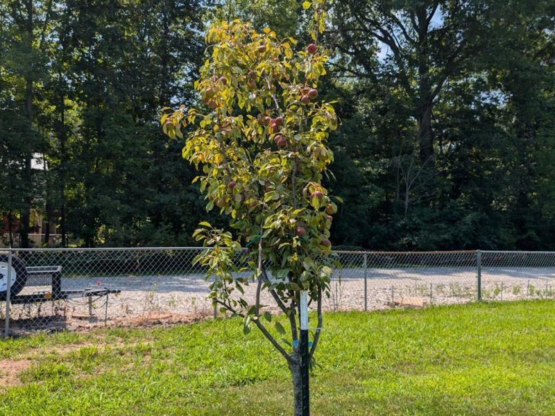 3257 Hartland Center Road, Collins, OH 44826 Photo 23