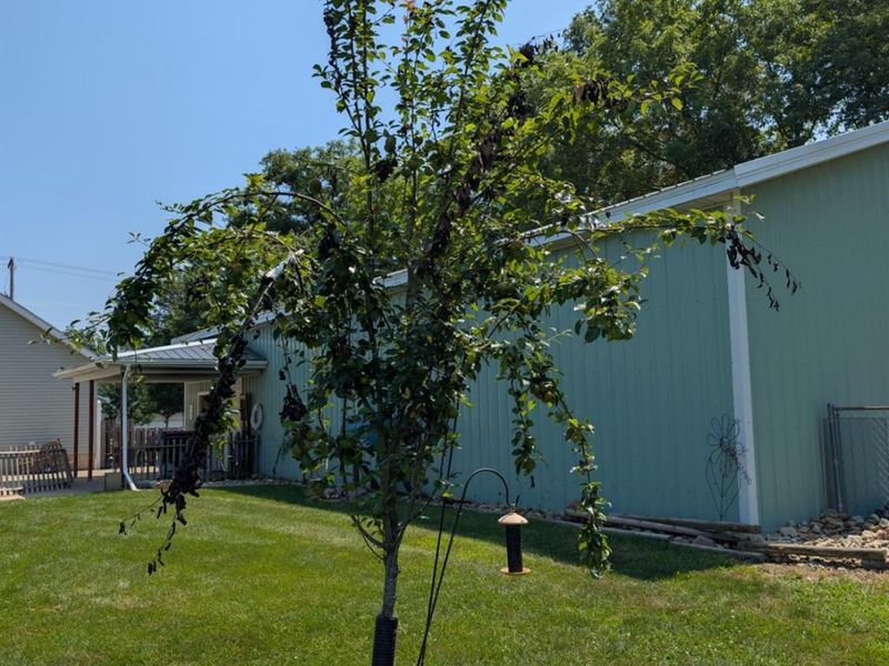 3257 Hartland Center Road, Collins, OH 44826 Photo 24