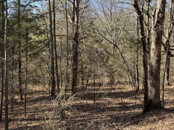 23.11 Ac John Wesley Trail , Harrison, TN 37341