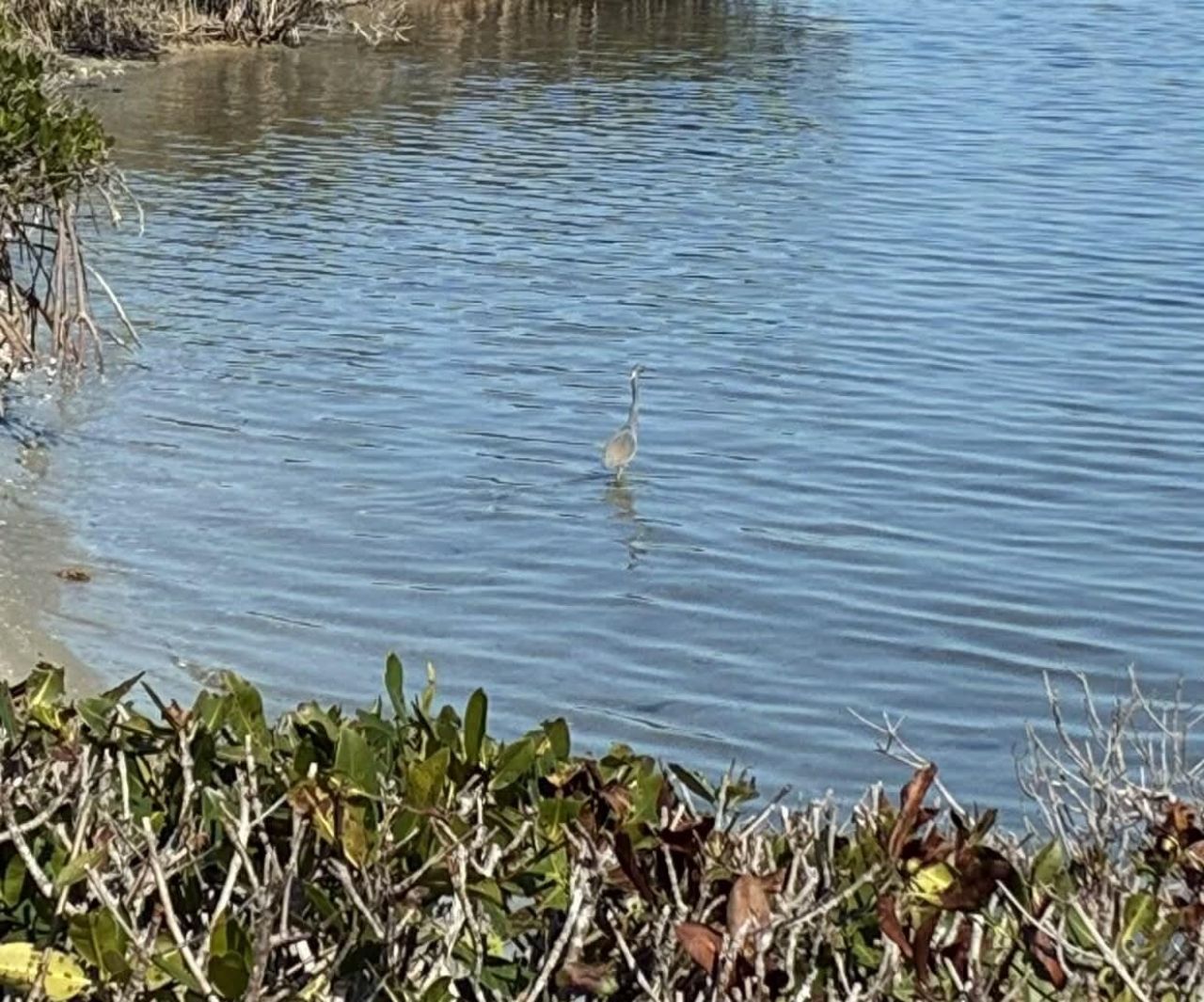 6285 N Mirror Lake Drive, Unit 6285, Sebastian, FL 32958 Photo