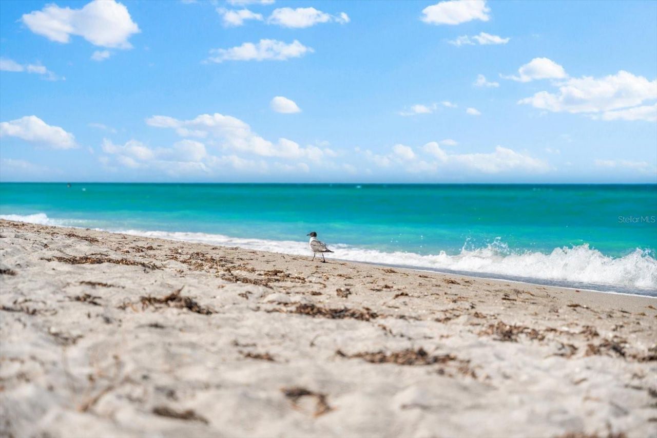 8897 Midnight Pass Road, Unit 105, Sarasota, FL 34242 Photo