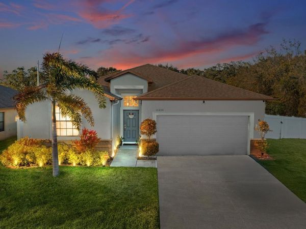 13230 WELLINGTON HILLS DRIVE, RIVERVIEW, FL 33579