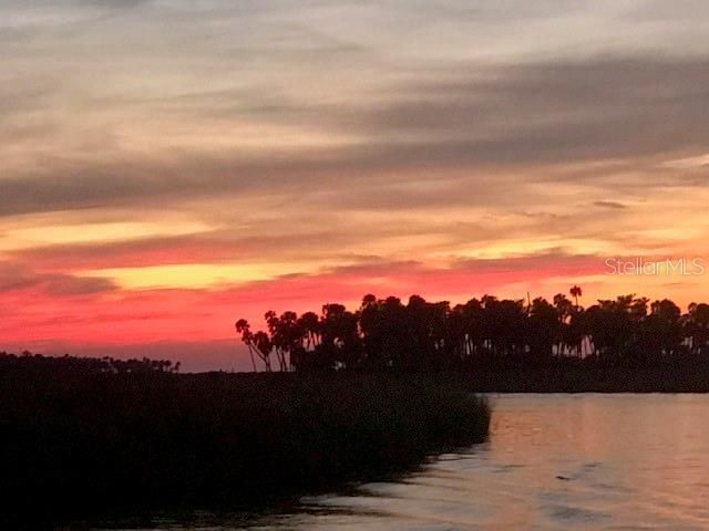 6394 Richard Drive, Weeki Wachee, FL 34607 Main Photo