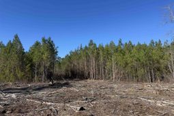 8862 Ware Dr. photo 4