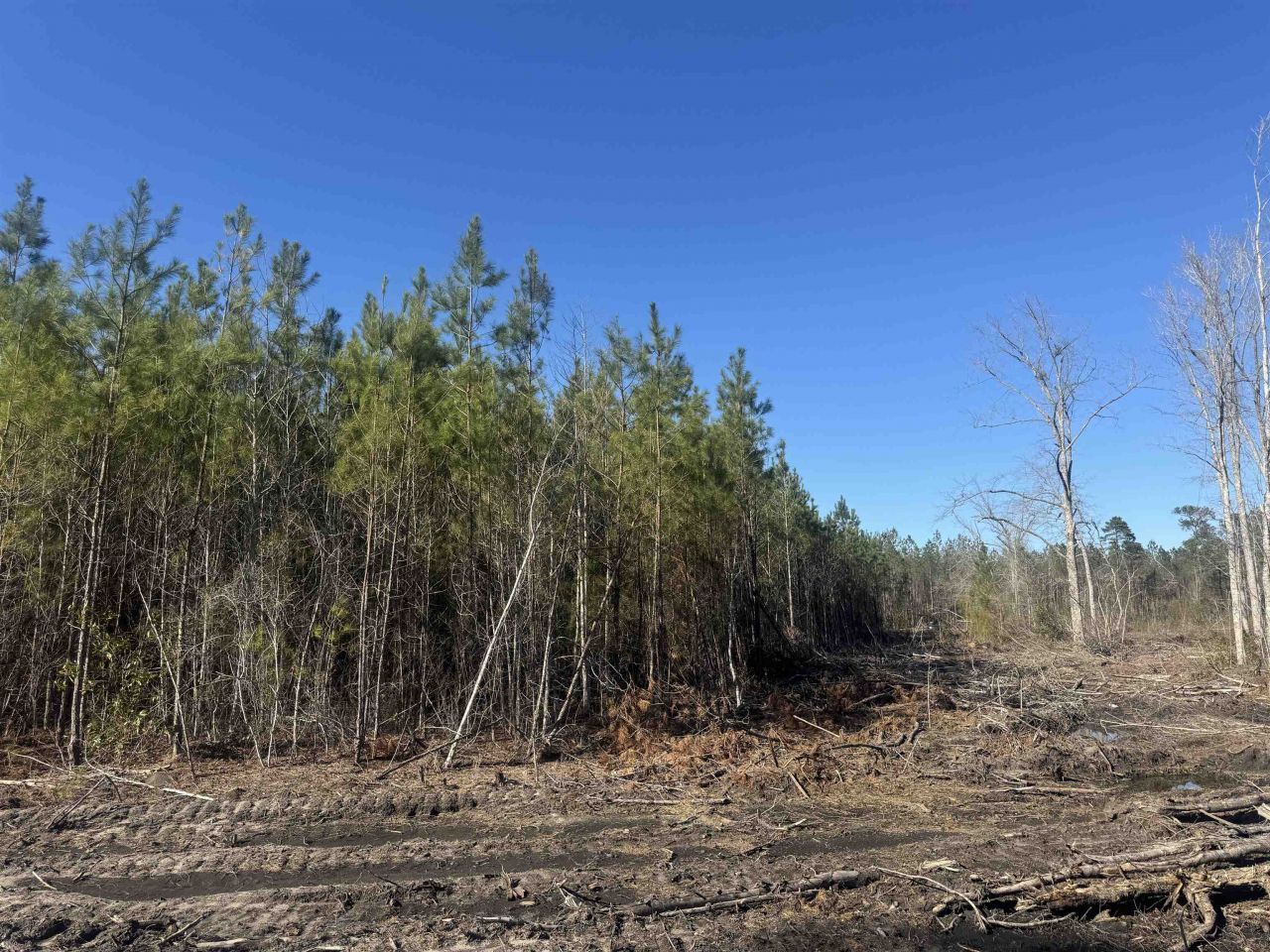 8862 Ware Dr. Photo 7