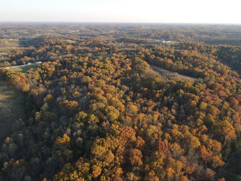 530 Rankin Mill Road, Falmouth, KY 41040 Photo 1