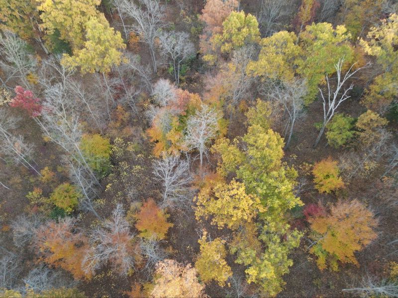 530 Rankin Mill Road, Falmouth, KY 41040 Photo 10