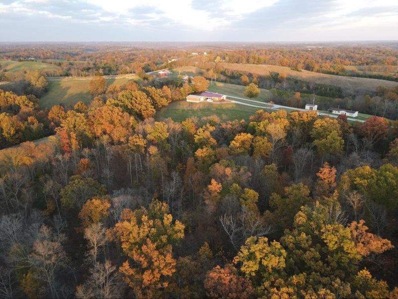 530 Rankin Mill Road, Falmouth, KY 41040 Photo 11