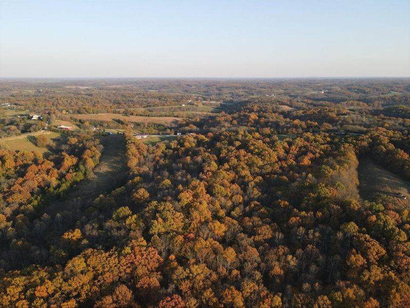 530 Rankin Mill Road, Falmouth, KY 41040 Photo 15