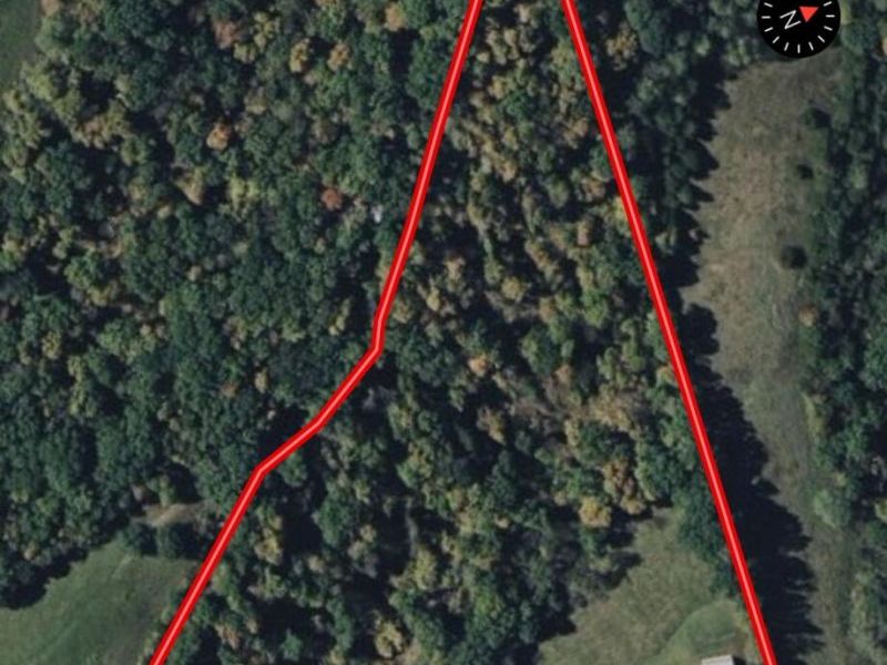 530 Rankin Mill Road, Falmouth, KY 41040 Photo 2