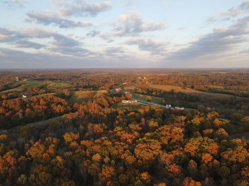 530 Rankin Mill Road, Falmouth, KY 41040 Photo 4