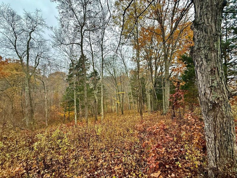 530 Rankin Mill Road, Falmouth, KY 41040 Photo 5