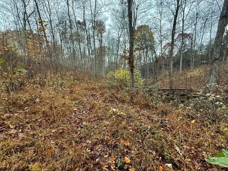 530 Rankin Mill Road, Falmouth, KY 41040 Photo 6