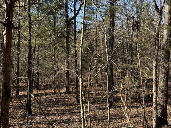 23.11 Ac John Wesley Trail, Harrison, TN 37341