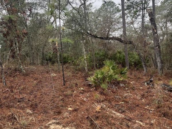 6714 N AIRMONT DRIVE, DUNNELLON, FL 34433