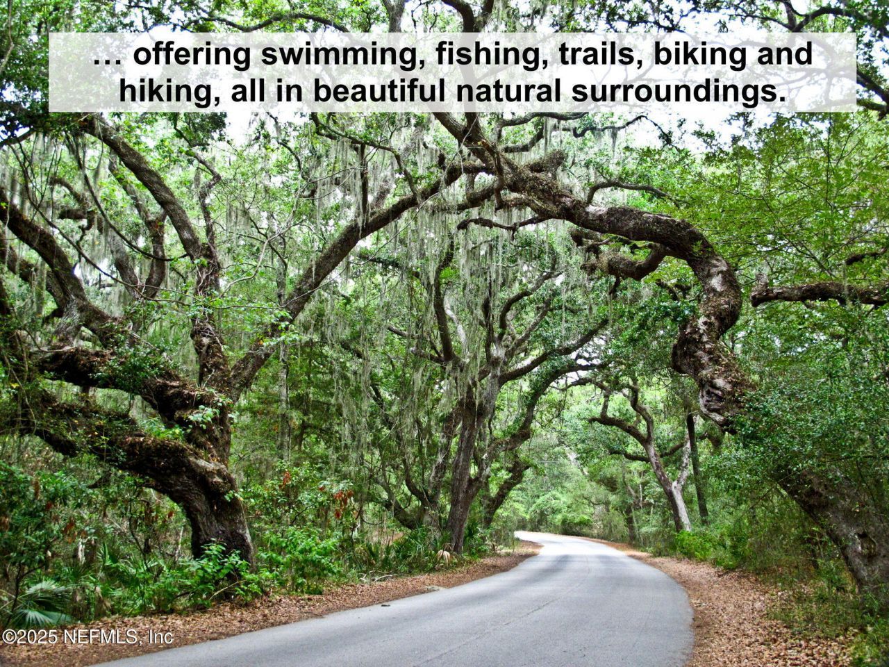 822 S Fletcher Avenue, Fernandina Beach, FL 32034 Photo