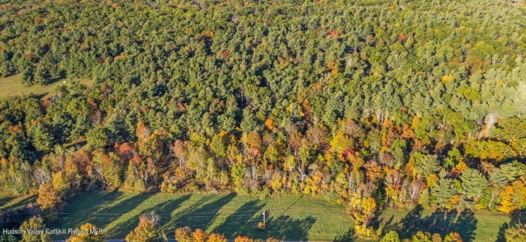 00 Snydertown Road, Craryville, NY 12521 Main Photo