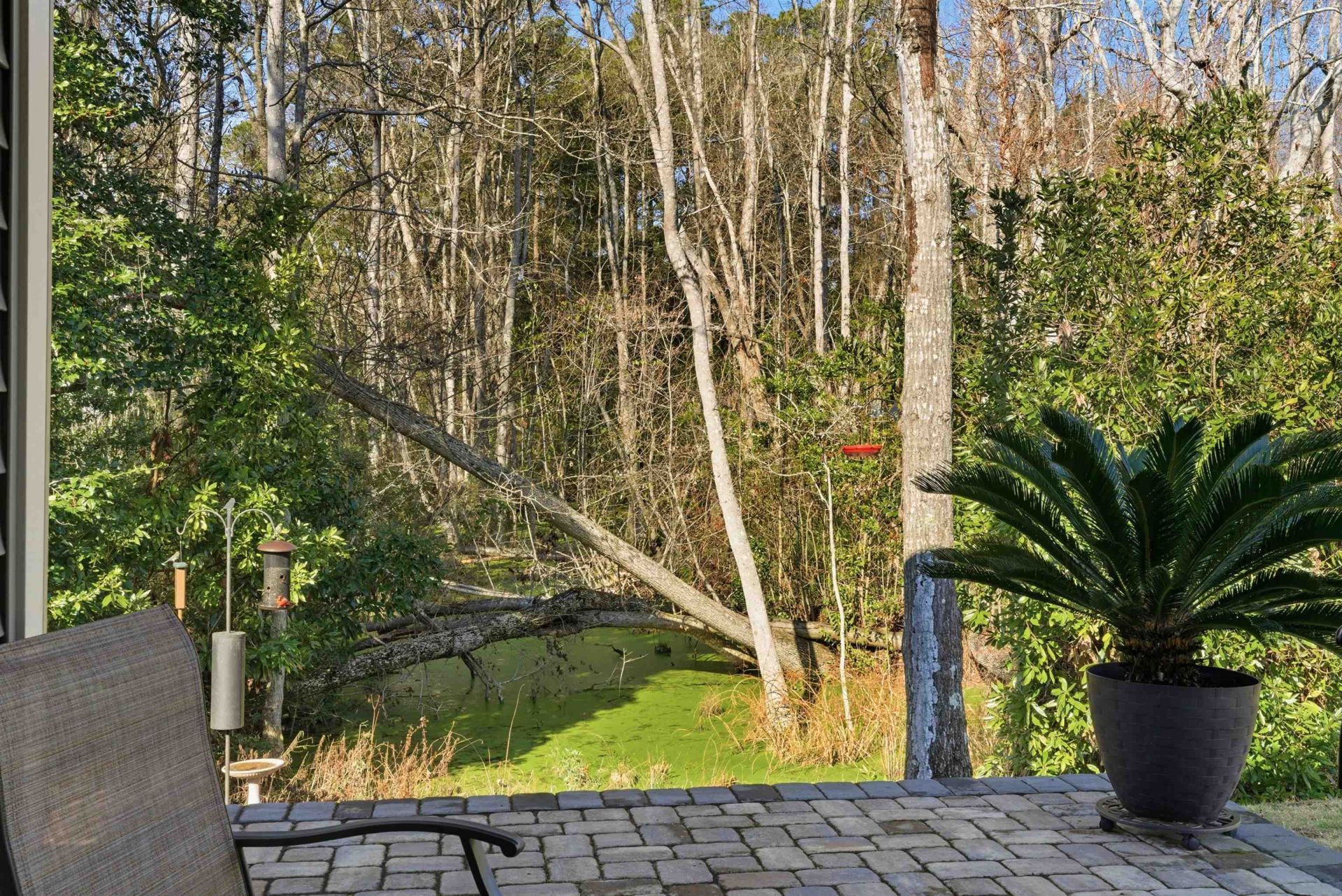 1136 Inlet View Dr. Photo 35