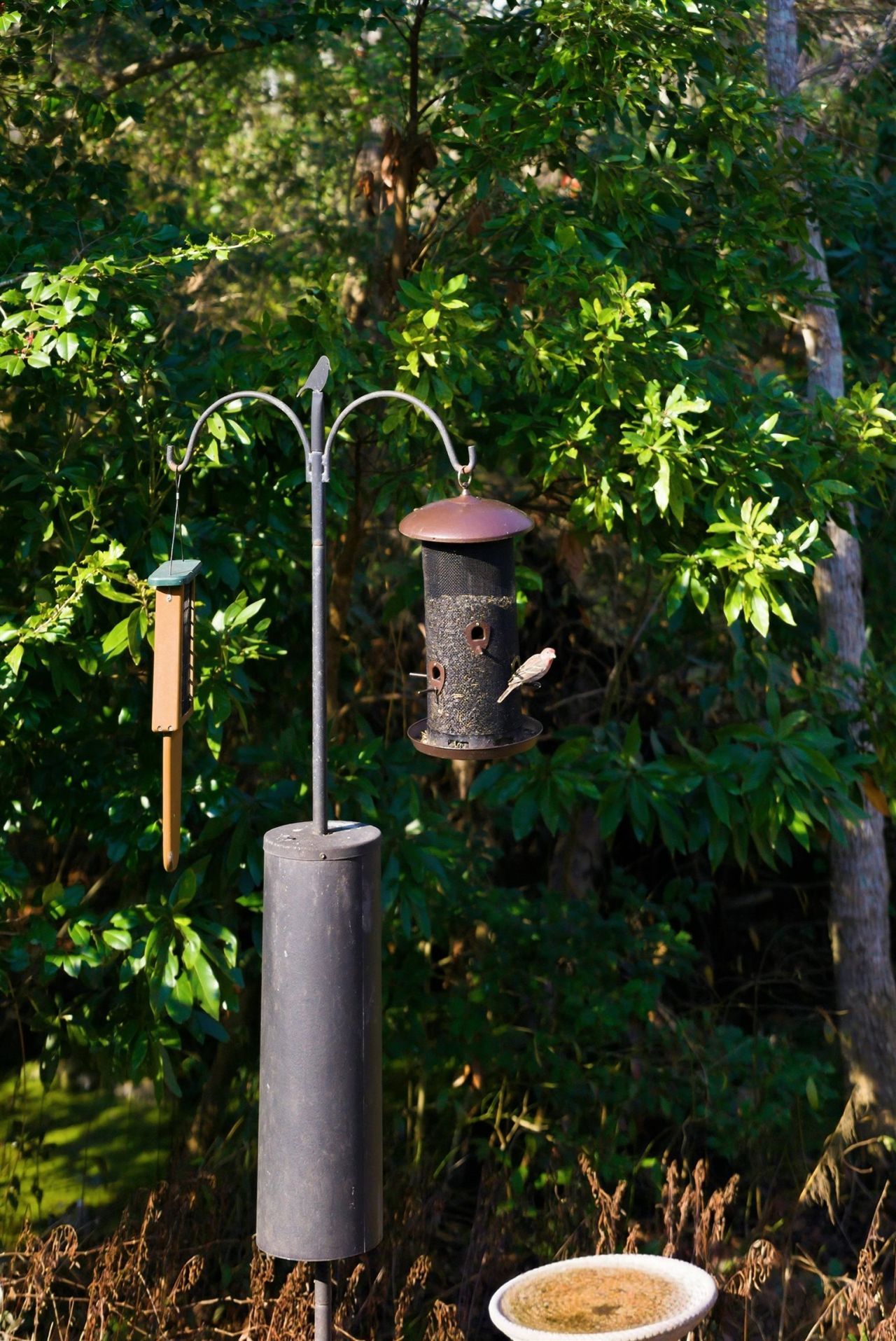 1136 Inlet View Dr. Photo 37