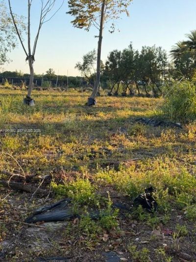 17450 SW 208th St, Miami, FL 33187 Photo