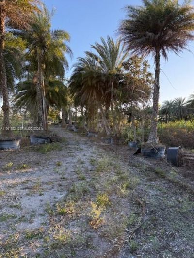 17450 SW 208th St, Miami, FL 33187 Photo