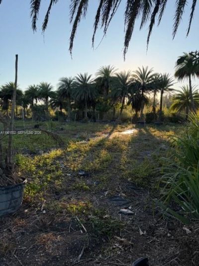 17450 SW 208th St, Miami, FL 33187 Photo