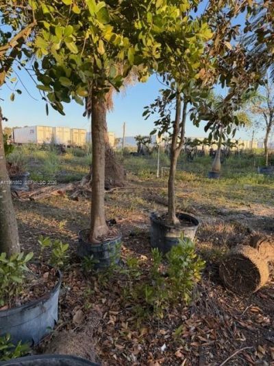 17450 SW 208th St, Miami, FL 33187 Photo